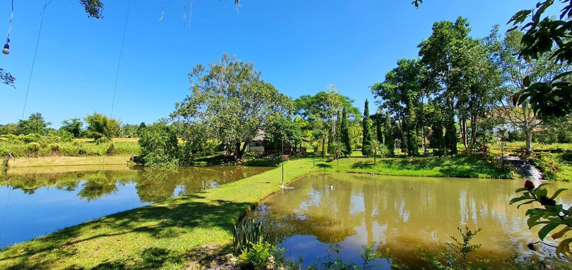 Homdoiintr Farmstay ฮ่อมดอยอินทร์ ฟาร์มสเตย์ Ban Huai Kaeo Экстерьер фото